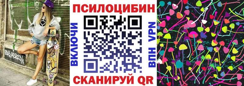 Купить где  Прохладный  Псилоцибиновые грибы Magic Shrooms 